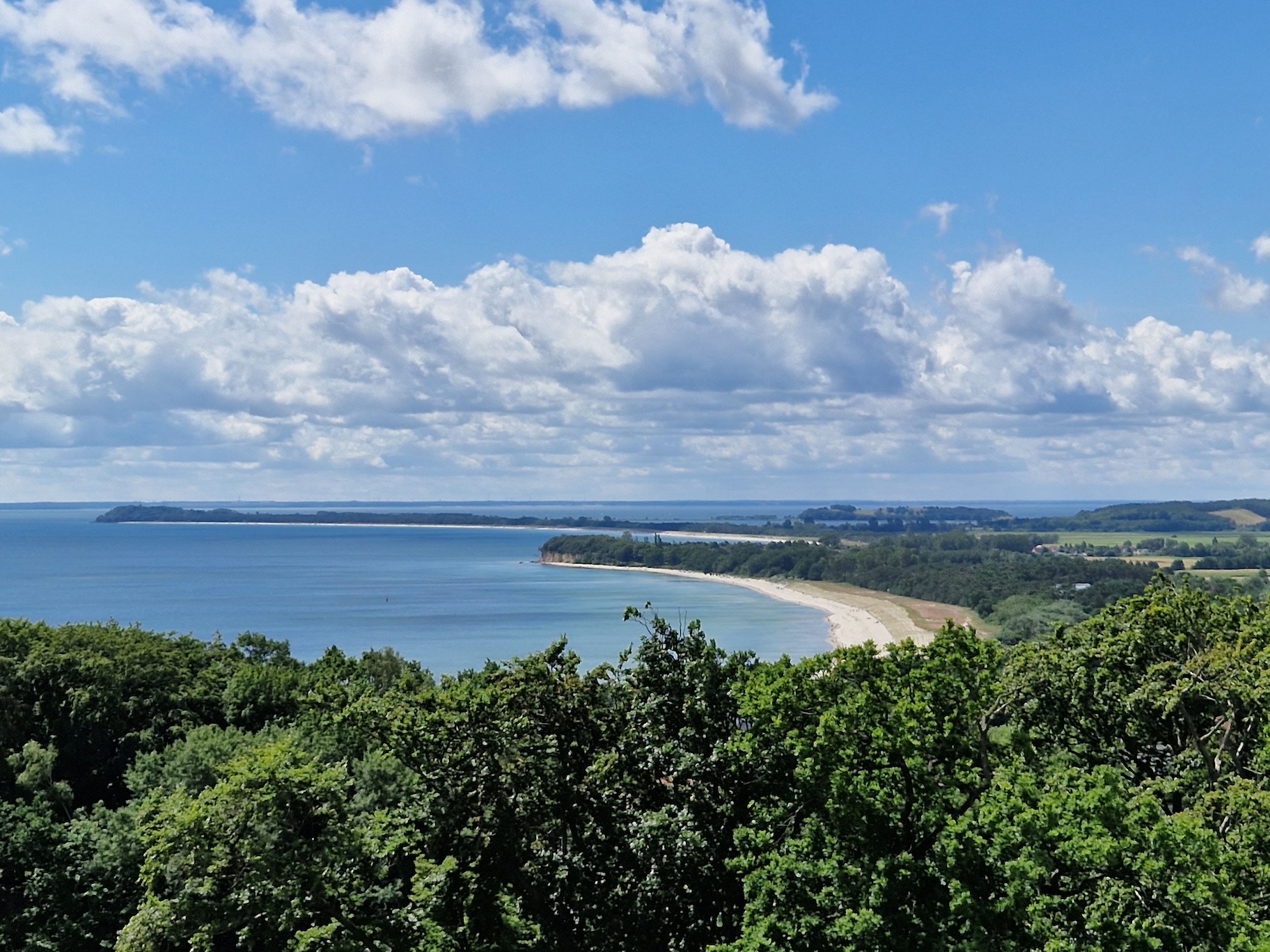 Blick über Wald auf die Ostsee auf der Insel Rügen